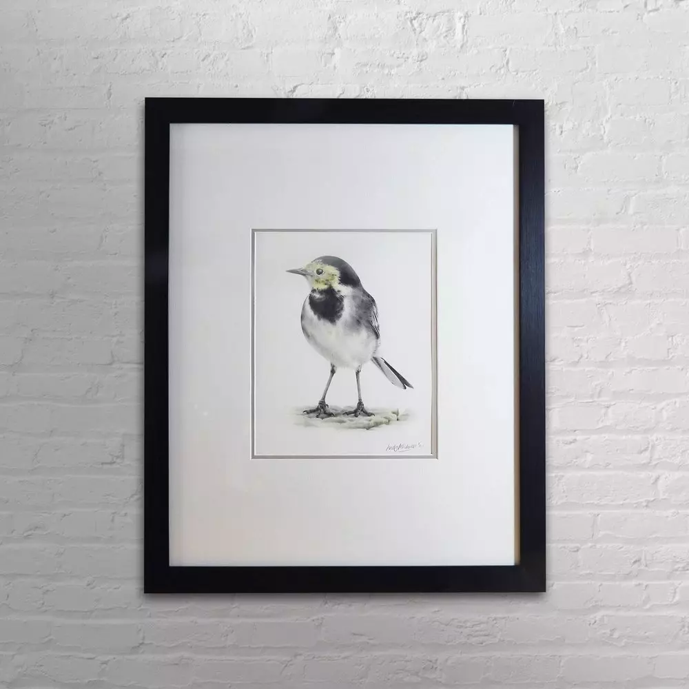 Pied Wagtail Framed Original